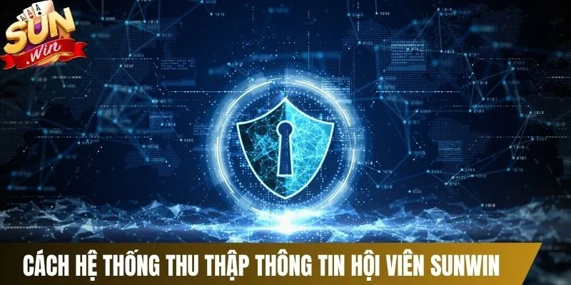 Cách hệ thống thu thập thông tin hội viên Sunwin